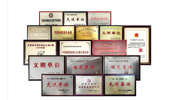 企業(yè)榮譽(yù) 企業(yè)榮譽(yù)