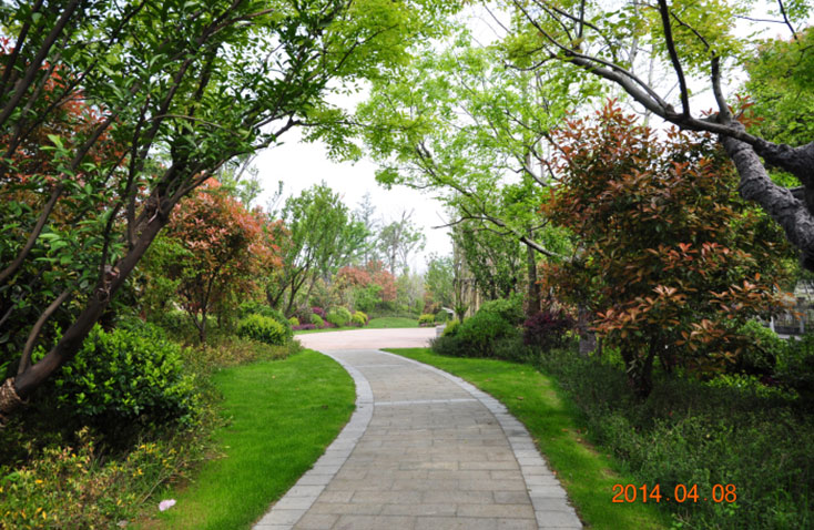 余姚城東道路綠化 余姚城東道路綠化